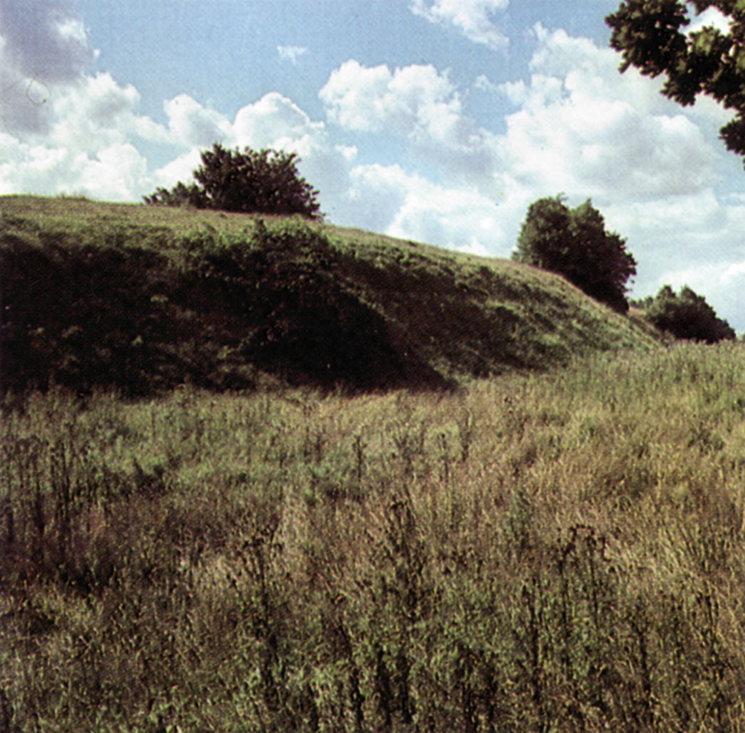 Hedeby Viking Archaeology